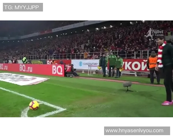 提升球星足球脚法训练技巧打造精英运动员的系统训练方案