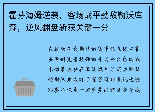 霍芬海姆逆袭，客场战平劲敌勒沃库森，逆风翻盘斩获关键一分
